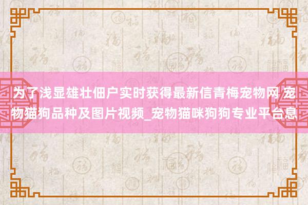 为了浅显雄壮佃户实时获得最新信青梅宠物网 宠物猫狗品种及图片视频_宠物猫咪狗狗专业平台息