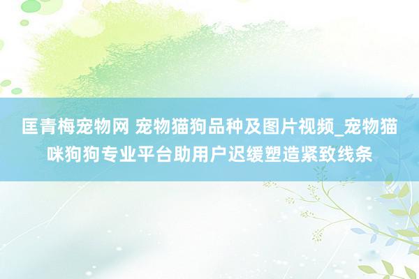 匡青梅宠物网 宠物猫狗品种及图片视频_宠物猫咪狗狗专业平台助用户迟缓塑造紧致线条