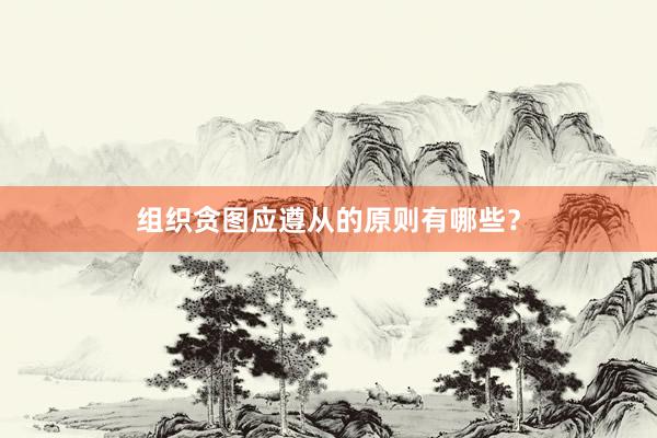 组织贪图应遵从的原则有哪些？