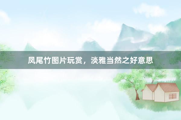 凤尾竹图片玩赏，淡雅当然之好意思